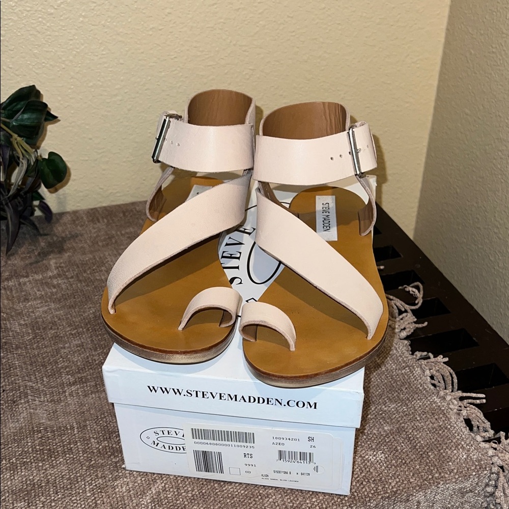 Steve Madden Women's Blush Sandals